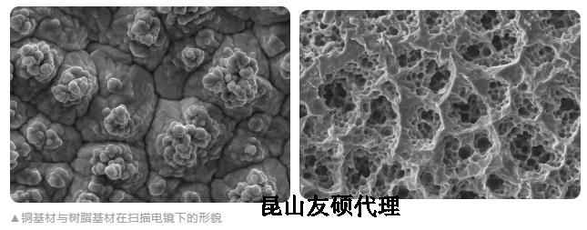 文山蔡司文山扫描电镜