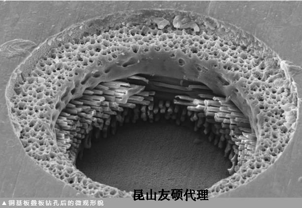 文山蔡司文山扫描电镜